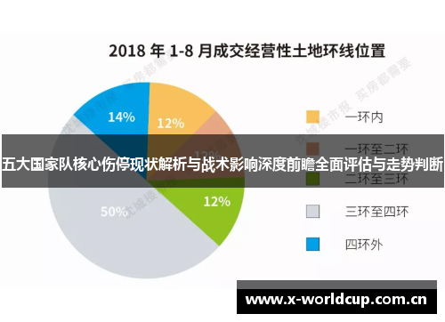 五大国家队核心伤停现状解析与战术影响深度前瞻全面评估与走势判断