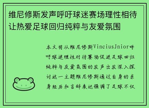 维尼修斯发声呼吁球迷赛场理性相待让热爱足球回归纯粹与友爱氛围
